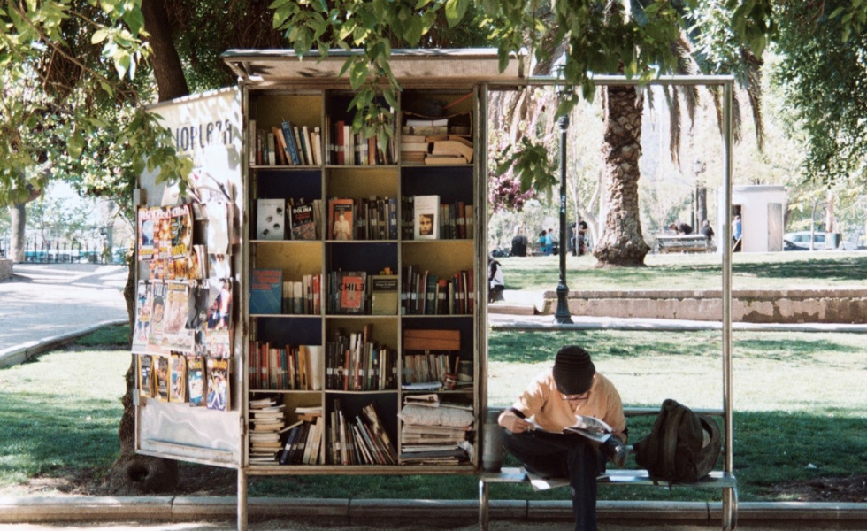 outdoor library under a tree with person reading