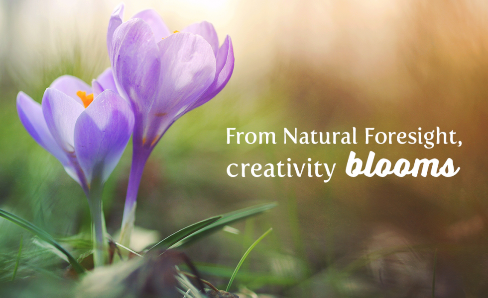 Blossoming purple flowers with text overlayed, "From Natural Foresight, creativity blooms."