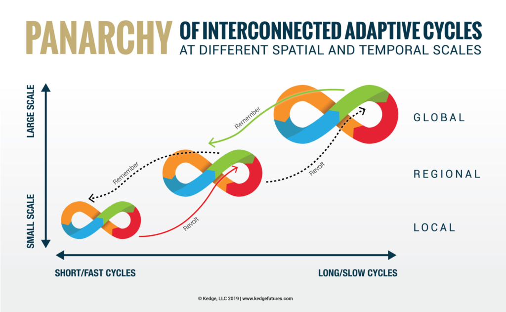 Panarchy of Interconnected Adaptive Cycles across space and time