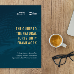 The Guide to The Natural Foresight Framework